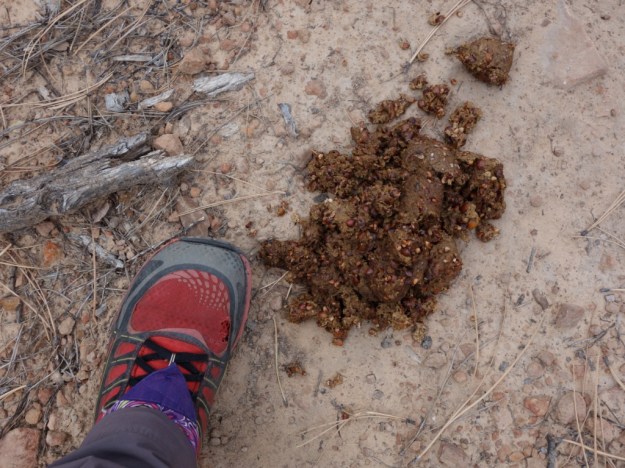 IMG_20161029_162011.jpg image